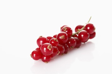 Red currants (Ribes)