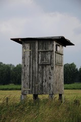 Raised hide in front of storm clouds, Tangstedt, Schleswig-Holstein, Germany, Europe