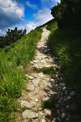 stone walkway up hill