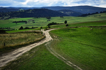 Fototapeta na wymiar the crossroads of field roads in nature