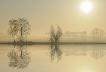 Fototapeta premium Morning mood at a lake at sunrise, near Tangstedt, Schleswig-Holstein, Germany, Europe