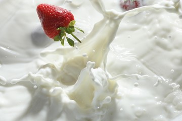 Strawberries falling in milk with a splash