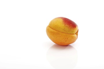 Apricots (Prunus armeniaca)