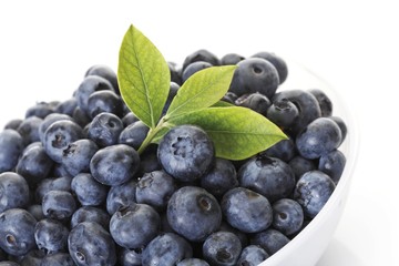 Blueberries with small leaves