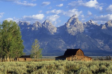 Old farm in front of the Grand Tetons mountains, Wyoming, USA, North America