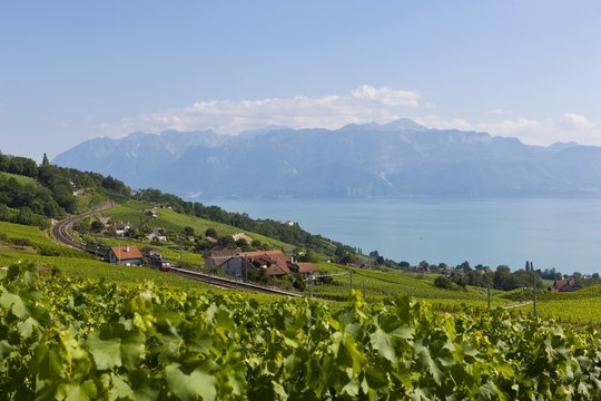 View of Lutry, Lavaux-Oron district, Lake Geneva, canton of Vaud, Switzerland, Europe