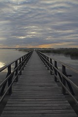 Fototapeta premium Federsee Lake, jetty, nature, nature reserve, Upper Swabia, Baden-Wuerttemberg, Germany, Europe