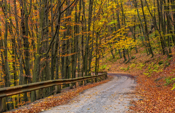 descend road turnaround in autumn forest. lovely nature scenery with lots of colorful foliage on hillside