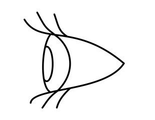 目(横、モノクロ)