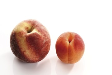 Peach and apricot