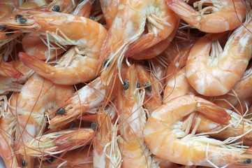 Shrimps