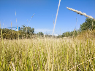 The Plateau Autumn Scene