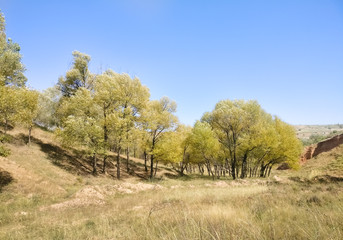 The Plateau Autumn Scene