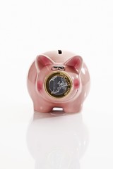 Pink piggy bank with one-euro coin in front of the snout