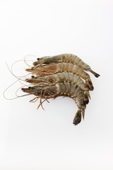Raw Black Tiger Prawns (Penaeus monodon), shrimp ready for preparation © imageBROKER