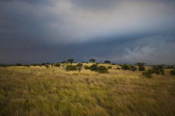 Serengeti with dark storm clouds, Tanzania, Africa