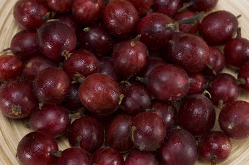 Gooseberries