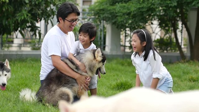 Happy Asian family playing with siberian husky dog in the garden2