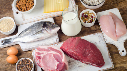 Best Foods High in Protein