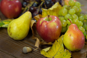 Naklejka na ściany i meble Seasonal autumn fruits with leaf and acorn on a wooden background