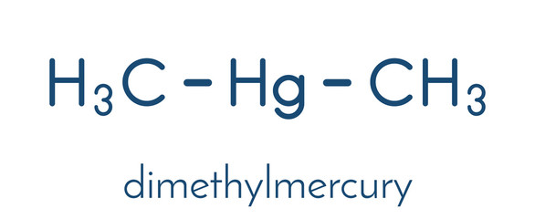 Dimethylmercury  (organomercury compound), chemical structure. Skeletal formula.
