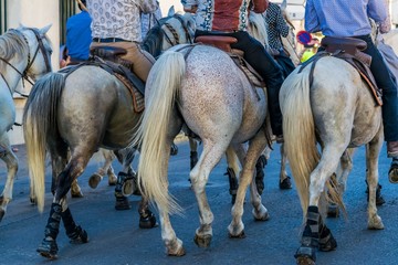 Abrivado lors d'une f&eacute;ria.