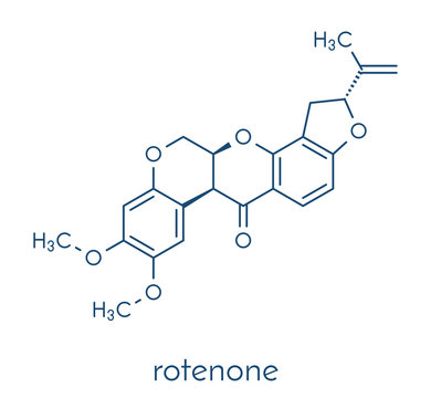 Rotenone broad-spectrum insecticide molecule. Also linked to development of Parkinson’s disease. Skeletal formula.