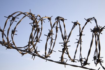 Rolled barbed wire