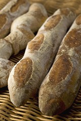 Baked Baguettes au Levain, wheat sourdough baguettes