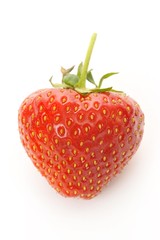 Strawberry (Fragaria)