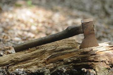 Rusty old axe in the forest