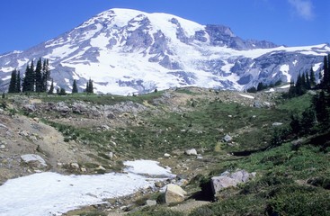 Fototapeta na wymiar Mount Rainier, Washington, USA, North America