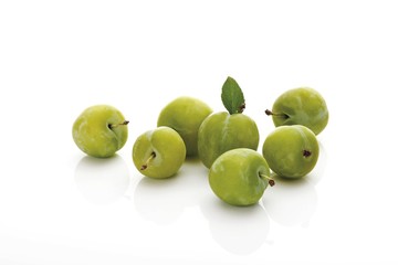 Obraz premium Greengages (Prunus italica) with small leaves