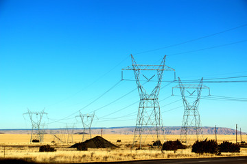 Beautiful yellow weeds field scenery with electric tower in Nevada, route 66 in USA