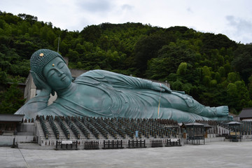 Walk closer to the big Buddha statue at Nanzoin Temple, Sasaguri