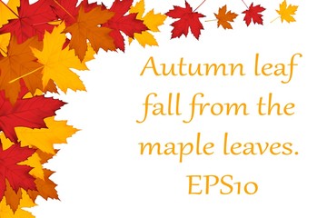 Fototapeta na wymiar Maple leaves background. EPS10
