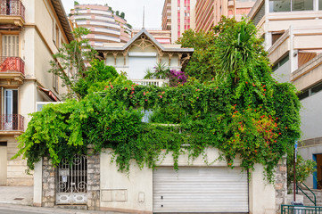 Fototapeta na wymiar A patch of green in the concrete jungle - Monaco