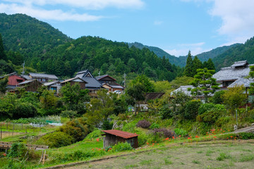 Obraz premium のどかな風景
