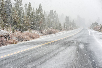 Snowstorm beginning in Yosemite National Park. Wet snowy road.