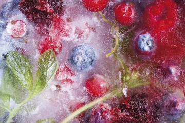 Fruits of the Forest in a block of ice