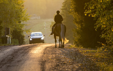 Woman horseback riding on the road in the sunset
