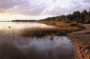 Fototapeta premium Evening mood at the Baltic Sea near Taeftea, Sweden, Europe