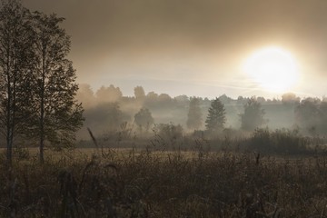 Fog on Lake Staffelsee, Seehausen, Murnau, Upper Bavaria, Bavaria, Germany, Europe, PublicGround, Europe