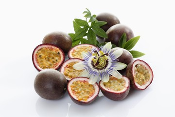 Passionfruit, Maracuja (Passiflora edulis), with flower