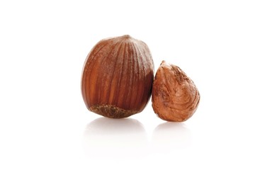 Hazelnut and hazelnut kernel
