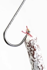 Nobel Salami hanging on a butcher's hook