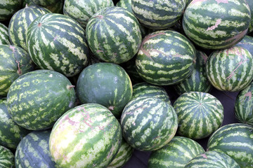 Crop of lot stripe ripe watermelons as background front view close up