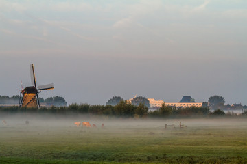 Fototapeta premium Kinderdijk in holland