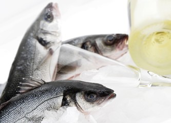 Sea Basses (Moronidae), champagne glass and champagne bottle