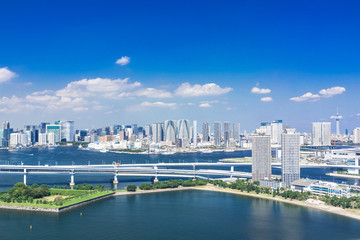 Fototapeta premium 東京スカイツリーとベイエリアのタワーマンション